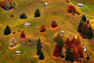 Hillside 03