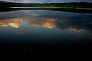 Reflexe