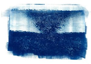 Egész táj pipaccsal, Cianotípia 2017