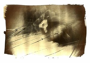 Hajnali kapirgálás, Argentotípia 2018