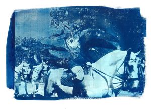 Hazafelé csendben mennek, Cianotípia 2018