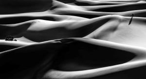 Woman photographing women