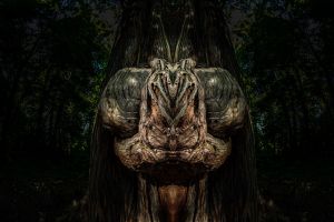 Az erdő réme