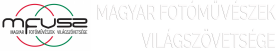 MFVSZ